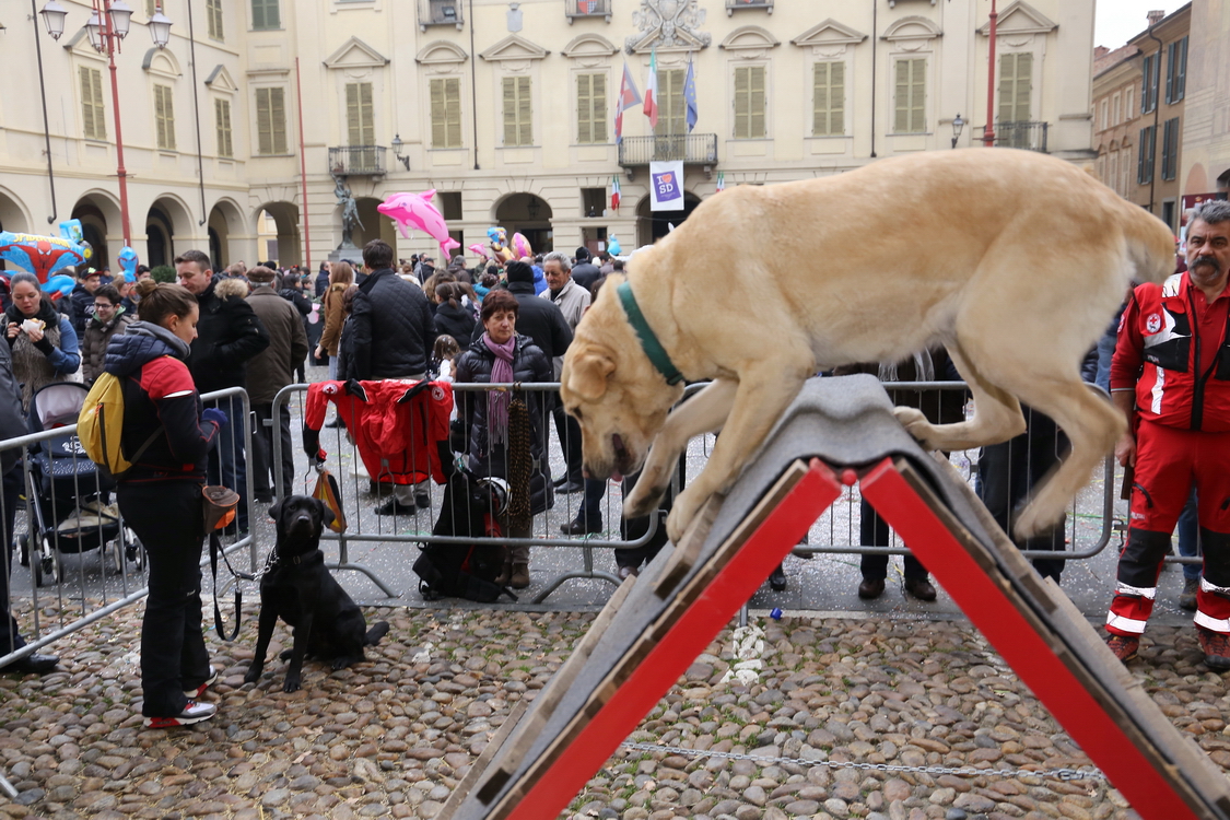 Carnevale 2016_184.JPG